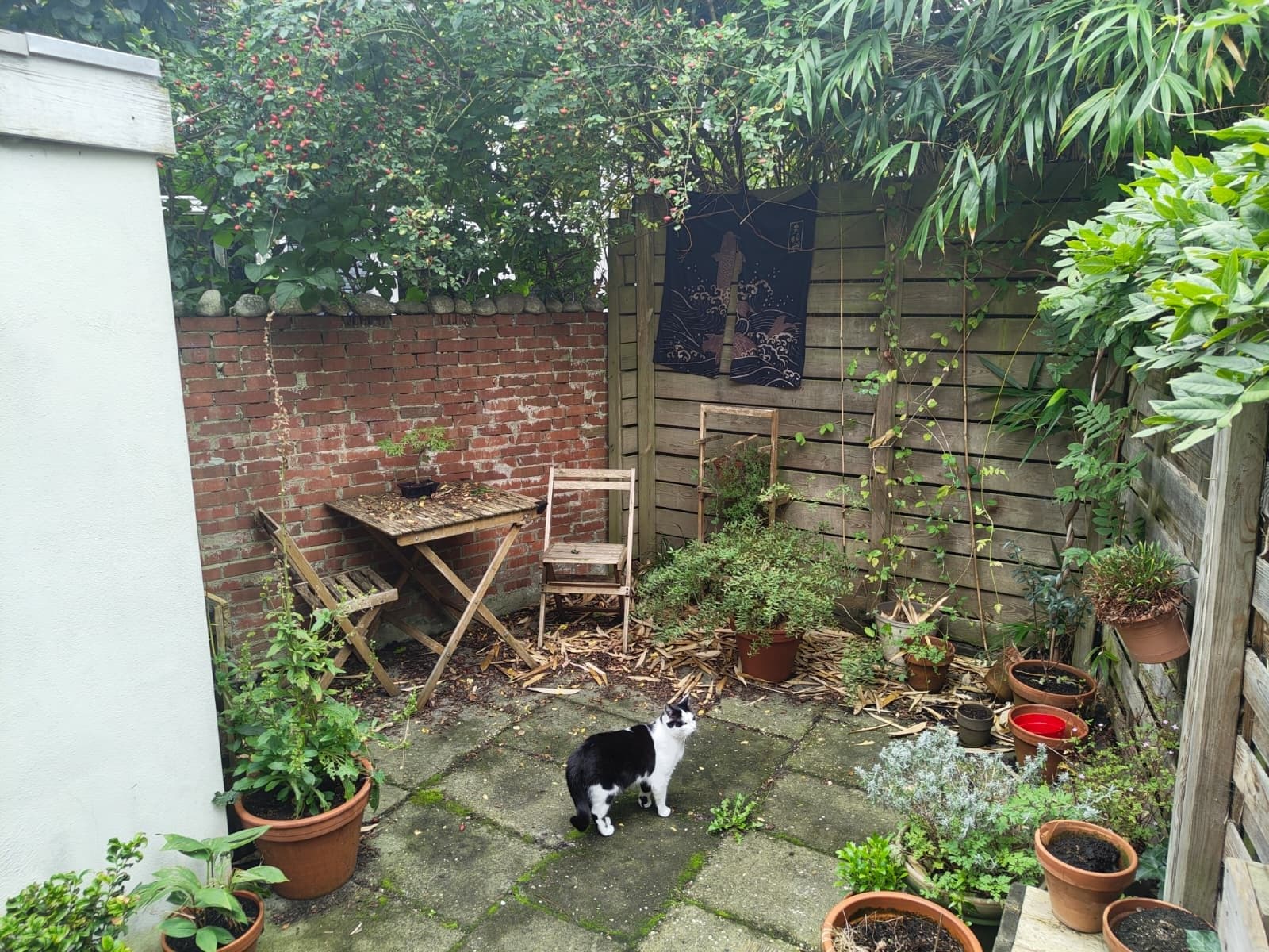 Garden