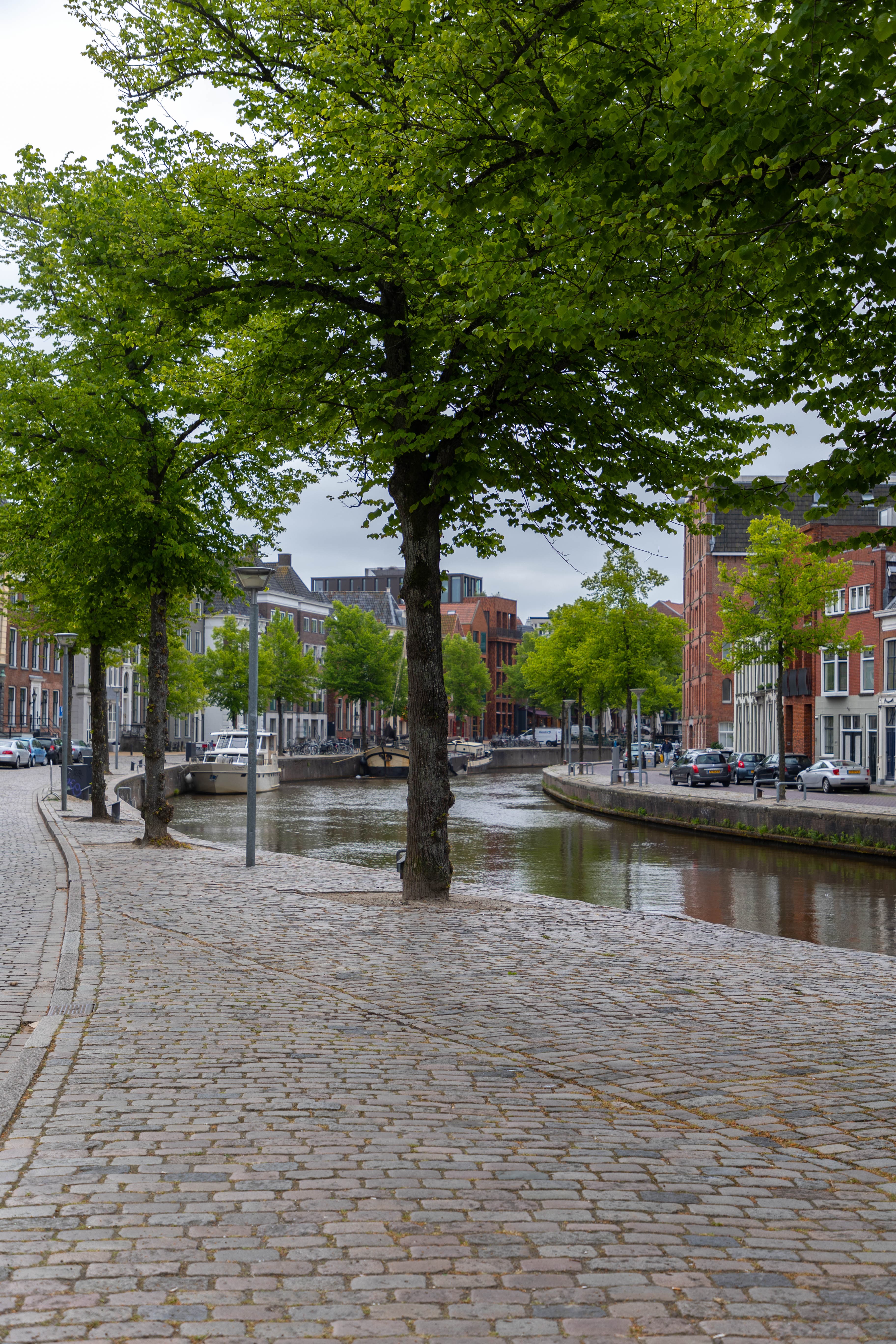 Vishoek 3, Groningen — property photo 7