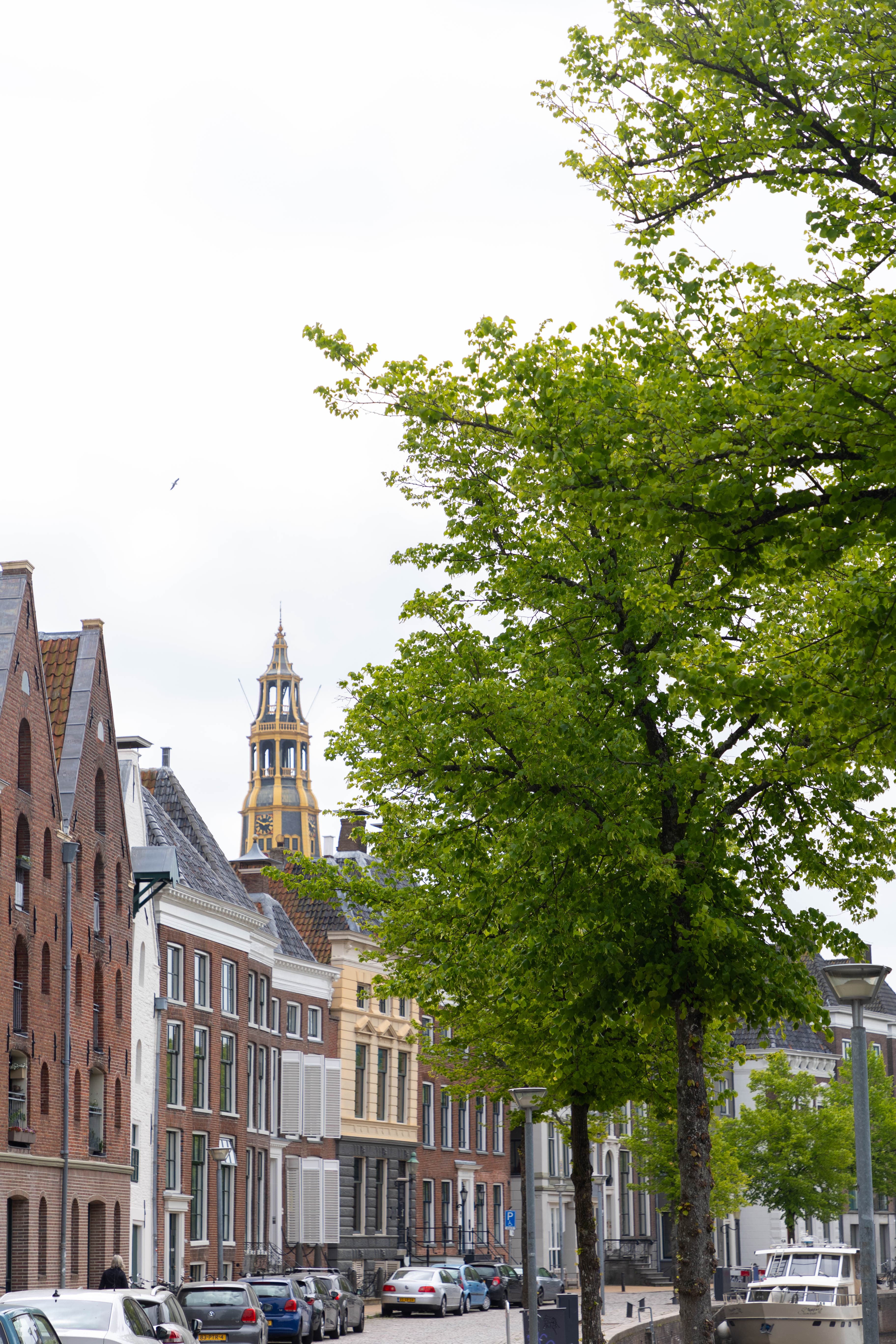 Vishoek 3, Groningen — property photo 8